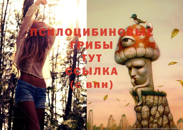 винт Белоозёрский
